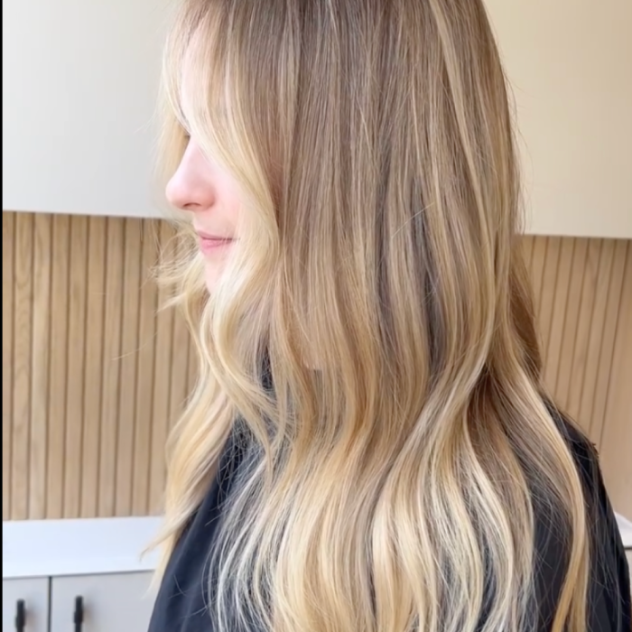 brown hair with highlights and money piece