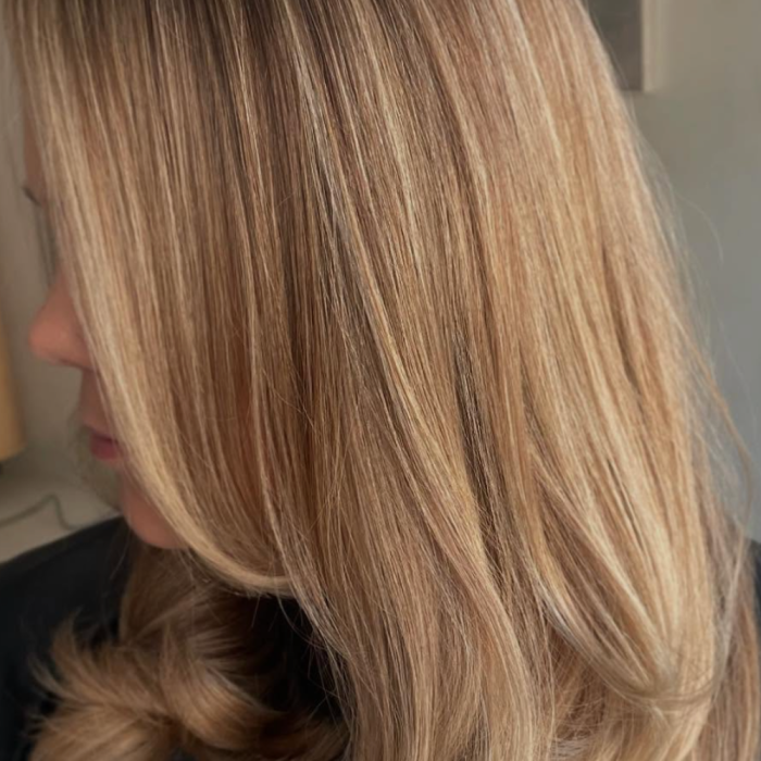 brown hair with blonde highlights